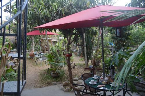 B&B Ecowasi Nasca