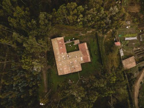 Pamuri Andes Lodge