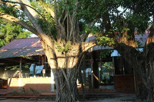 Hostal El Delfin