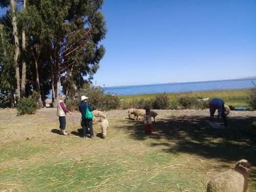 Agroturismo Casa Hospedaje Lago Sagrado