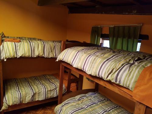 Vip Jungle Lodge