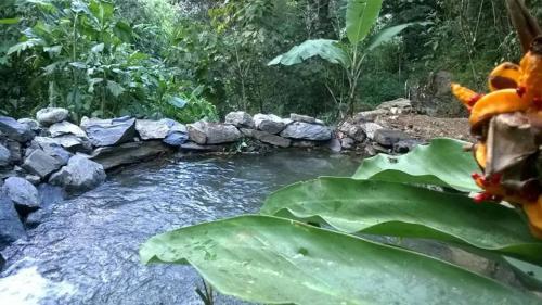 Pumachaca Ecolodge