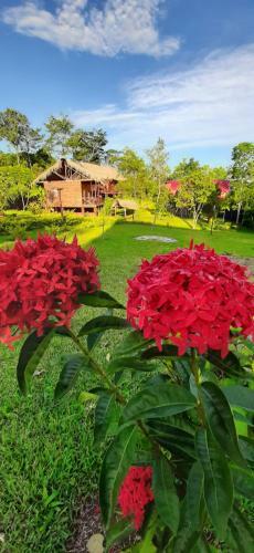 Hostal Waylla