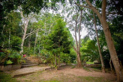 Ecolodge Yacuwasi