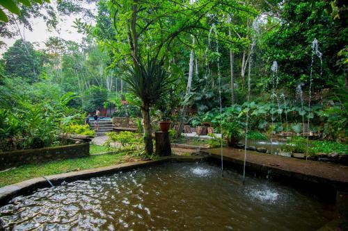 Ecolodge Yacuwasi