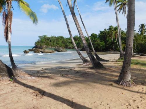 Paradise Beach Apartment
