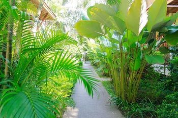 Hotel Bangtao Village Resort