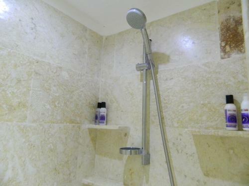 Figaro Hotel Samana