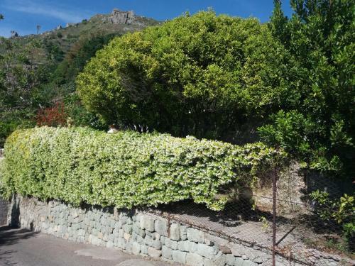 Bed & Breakfast Villa La Cesa