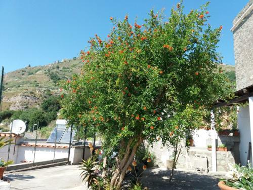 Bed & Breakfast Villa La Cesa