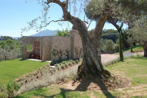 Albergue Poggio Piglia - Guest House