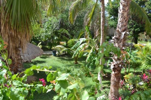 Apartamento Amarula Beach