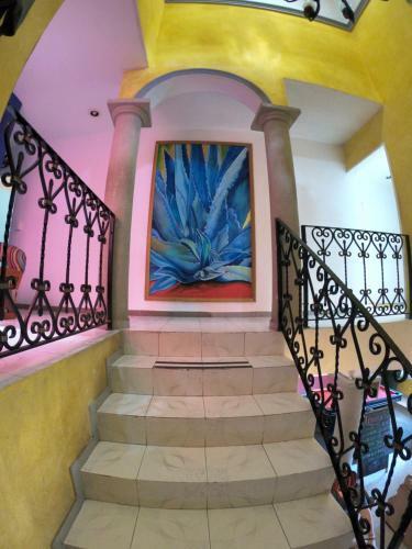 Agavero Hostel