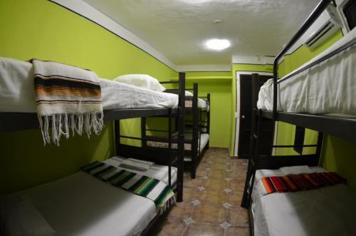 Fiesta Party Hostel - Cancun