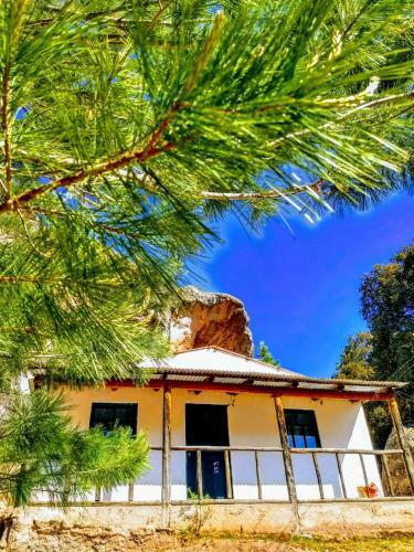 Lodge Caba�as En Creel Cuevas De Los Leones