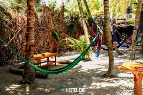 Hostel Che Holbox