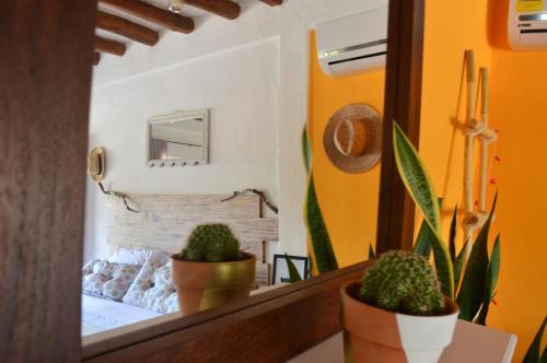 Apartamento Casa Mango