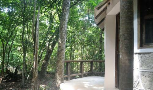 Lodge Drop By Nature Hotel - Ruta De Los Cenotes