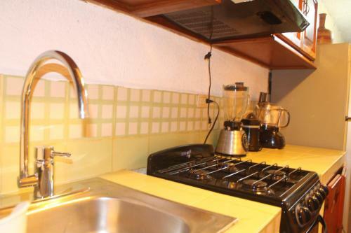 Casa Cotorro Best Tulum Adventures