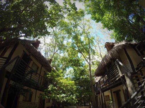 Indajani Hostel Tulum