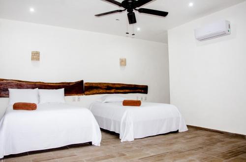 Apartamento Suite Casa Tortuga