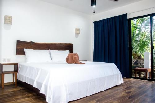 Apartamento Suite Casa Tortuga