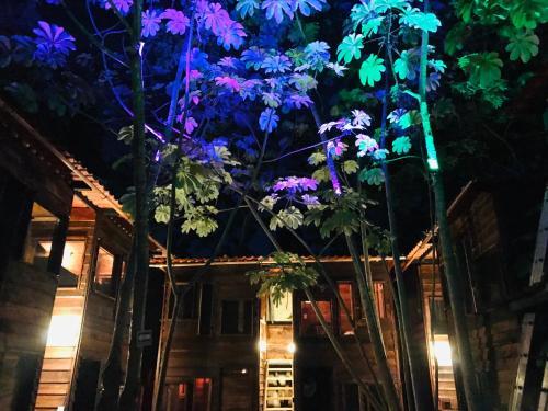 Hostal Aldea Tzunun