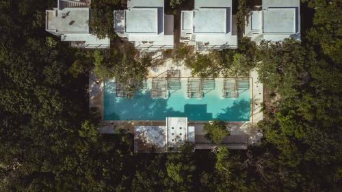 Hotel Holistika Tulum