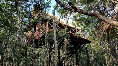 Hotel Ajal Tulum Tree House