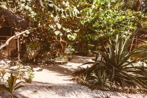 Hotel Esencial Tulum