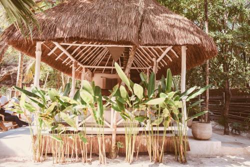 Hotel Esencial Tulum