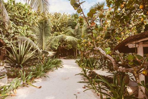 Hotel Esencial Tulum