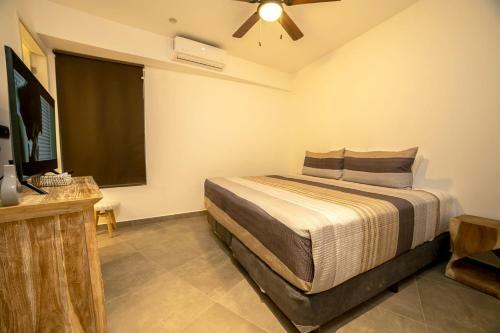 Quinto Sol Luxury Apartments By Im�xico