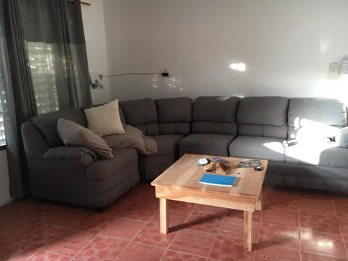 Anfibio�s House