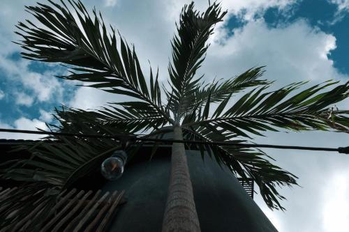 Hotel Aroma Tulum