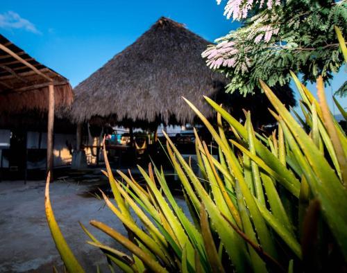 Posada Hah Hostel Tulum