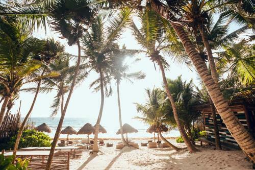 Hotel Tribal Tulum