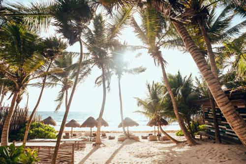 Hotel Tribal Tulum