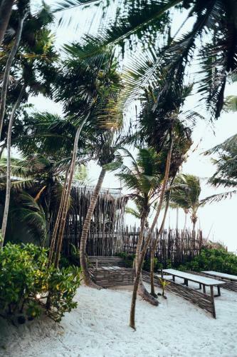 Hotel Tribal Tulum