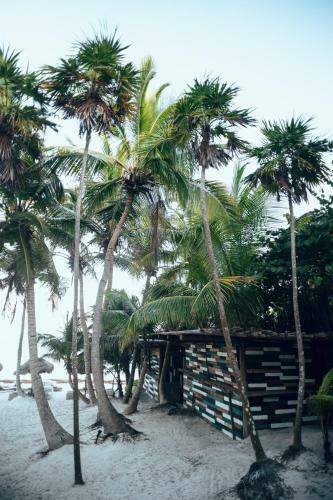 Hotel Tribal Tulum