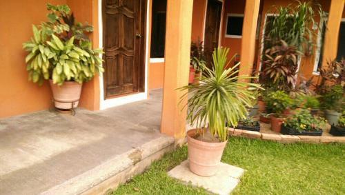 Hotel Real Del Ambar
