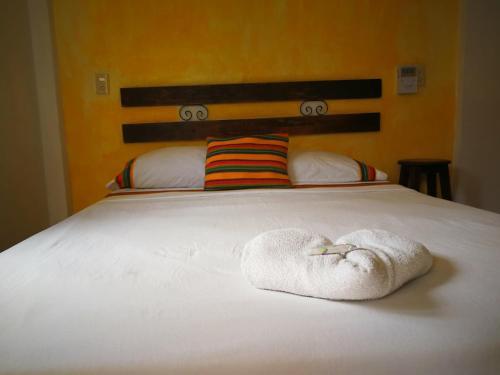 Hotel Casa Zoque Colonial