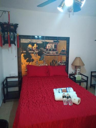 Hotel Palacio Canton