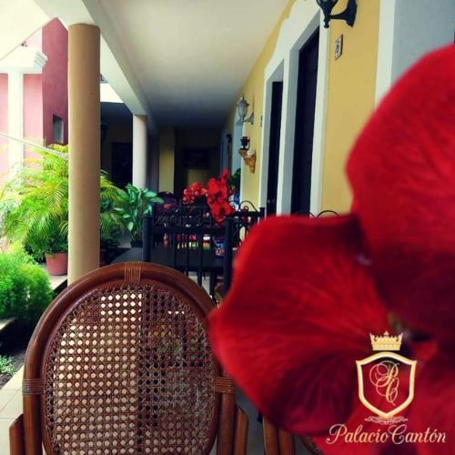 Hotel Palacio Canton