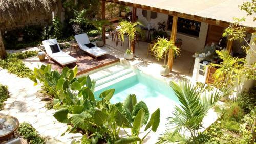 Colonte Hotel Origen