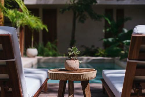Colonte Hotel Origen