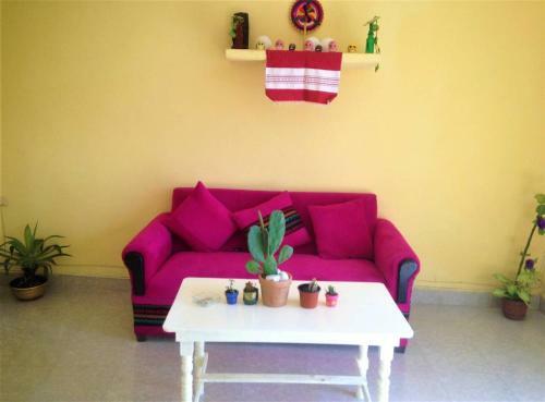 Zaci Cozy Home