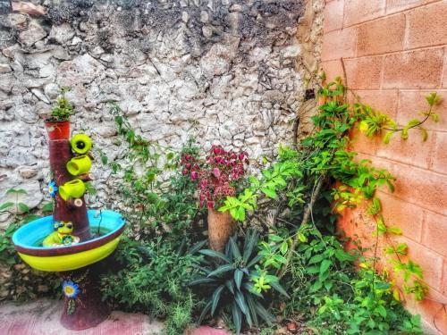 Hostal Casa Daniels