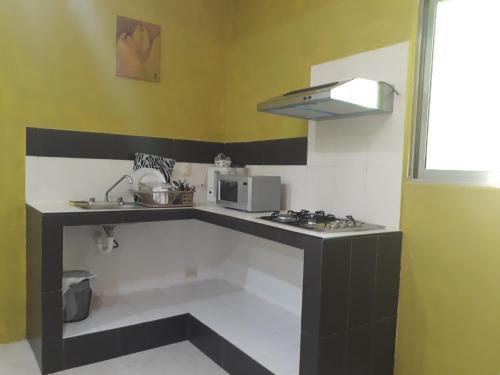 Casa Fernery