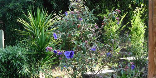 Hotel Rancho Las Joyas Caba�as